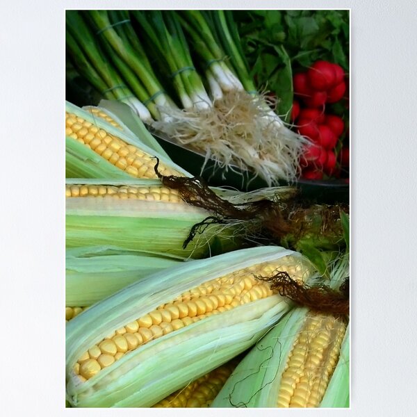 Chowder Merch & Gifts for Sale | Redbubble