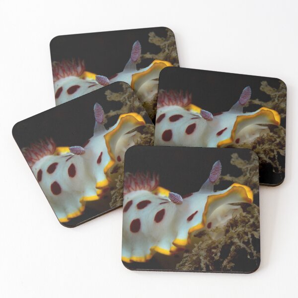 Item preview, Fly Point Nudi designed and sold by Matt-Dowse.