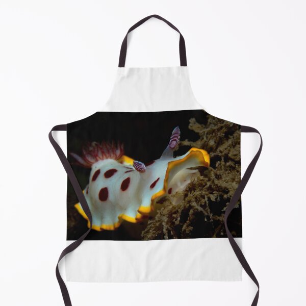 Item preview, Fly Point Nudi designed and sold by Matt-Dowse.