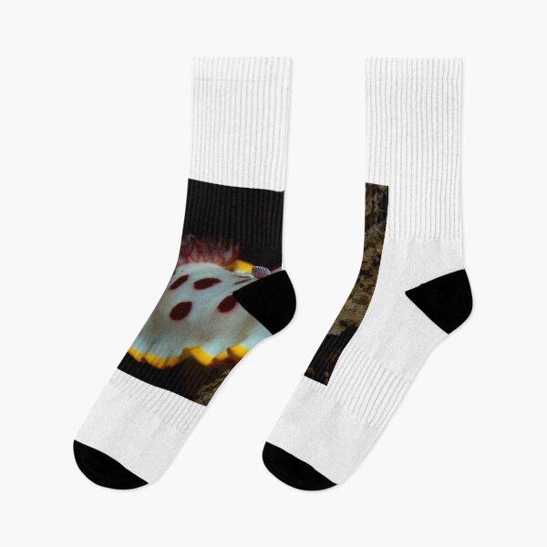 Item preview, Fly Point Nudi designed and sold by Matt-Dowse.