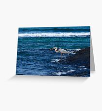 Great Blue Heron in the Galapagos feeding on Baby Iguana Greeting Card