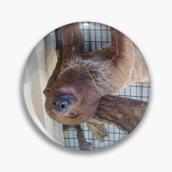 Item preview, The Most Chill Sloth designed and sold by EnticingRose.