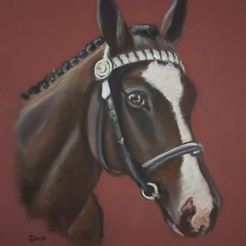 Artwork thumbnail, Shandy by Dianne Ilka