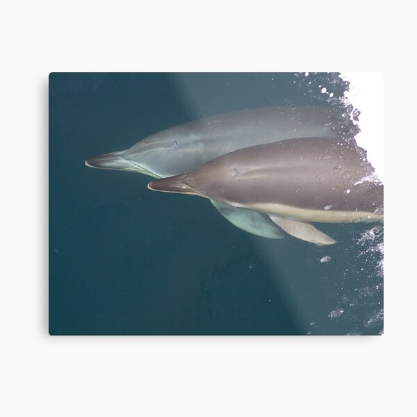 Together at Sea Metal Print