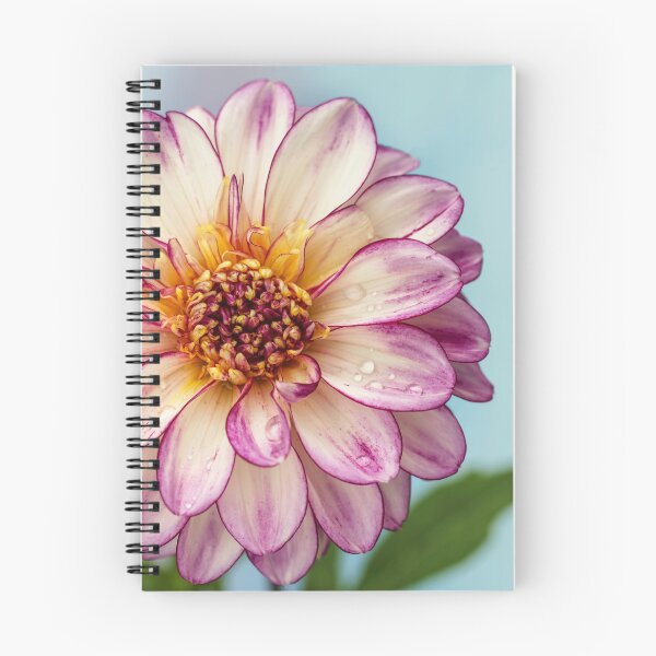 Item preview,  Dahlia Brindisi designed and sold by John Ray.