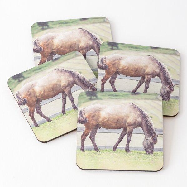 Item preview, Konik horse in a meadow designed and sold by Jörg Hüttenhölscher.