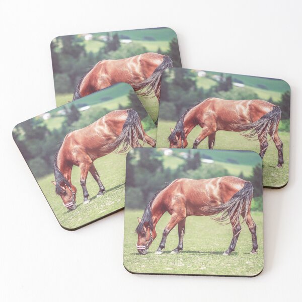 Item preview, Danish Knabstrupper stands in a meadow designed and sold by filmbildfabrik.