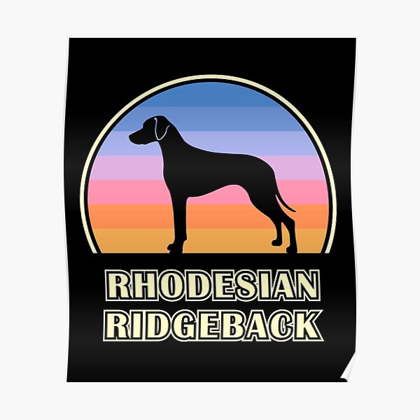 Rhodesian Ridgeback Vintage Sunset Dog Poster