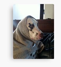 funny Canvas Print