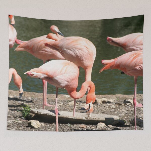 Item preview, Greater Flamingo Family designed and sold by XCEEDTRANSITION.
