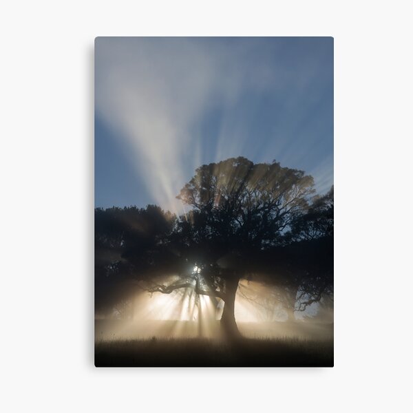~ One Perfect Day ~ Canvas Print