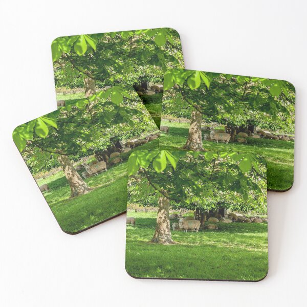 Item preview, Sheep shading under the trees designed and sold by Dalyndigital Photography.