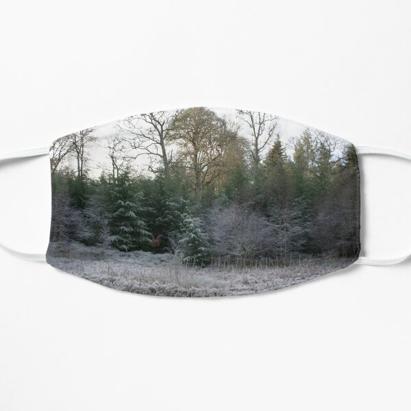 The Secret Woodland Pond in Winter Flat Mask