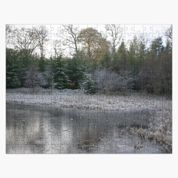 The Secret Woodland Pond in Winter Jigsaw Puzzle