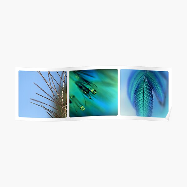 Blue Triptych Poster