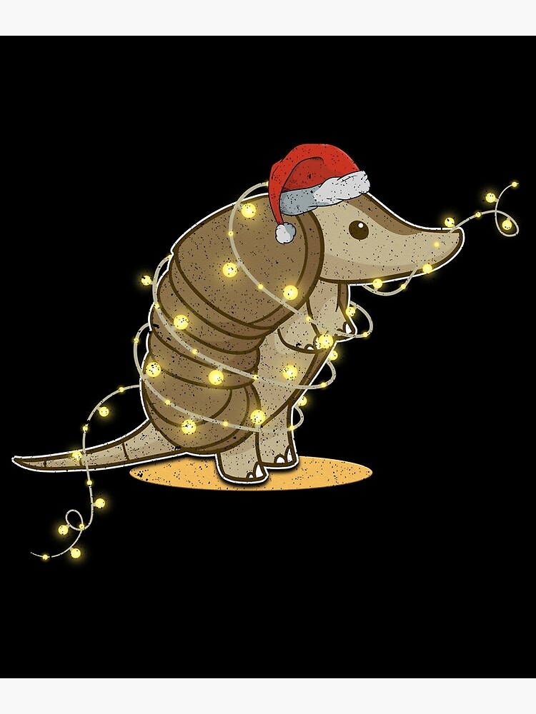 armadillo lights