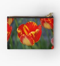 Yellow/Red Sunshine Studio Pouch