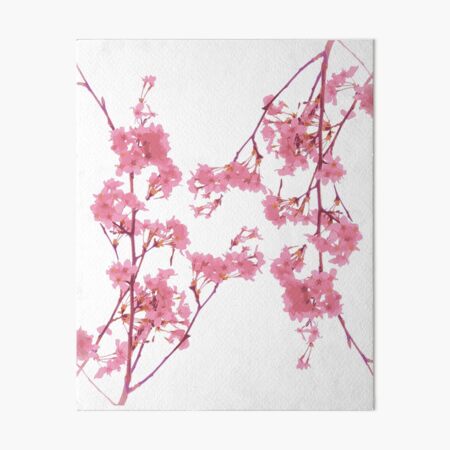 20% OFF ! Pink Cherry Blossom | Merry Christmas 2020 T Shirt For Women and Men and Kids | Black Friday and Cyber Monday Deals | Happy New Year 2021 Hoodies - Socks - Gifts - Pajamas - in Quarantine Art Board Print