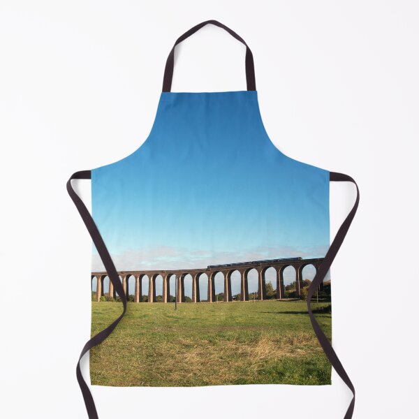 Culloden Viaduct with train Apron