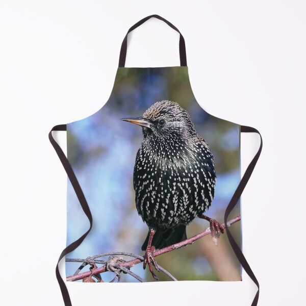 Item preview, r1377/ maj - Best des Etourneaux (c)(h) 02 by Olao-Olavia / Okaio Créations designed and sold by o.okaïo.