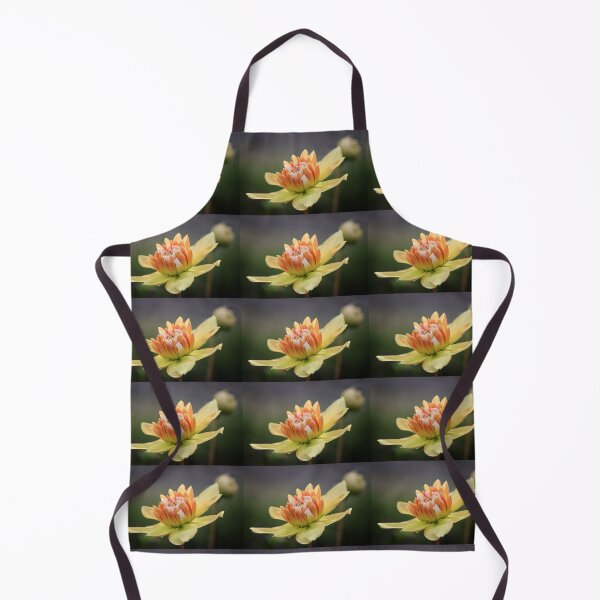 Artikelvorschau, Dahlia Sunset Tropical entworfen und verkauft von John Ray.