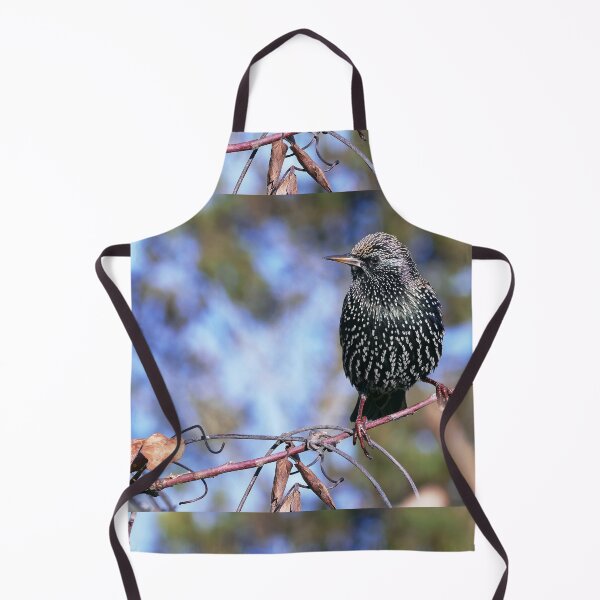 Item preview, r1376/ maj -le Best des Etourneaux (c)(t) by Olao-Olavia / Okaio Créations designed and sold by o.okaïo.