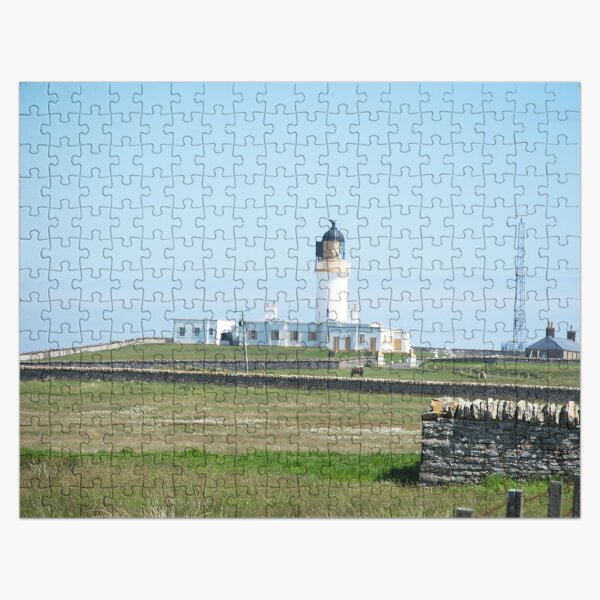 Lighthouse behind Bog Cotton Jigsaw Puzzle