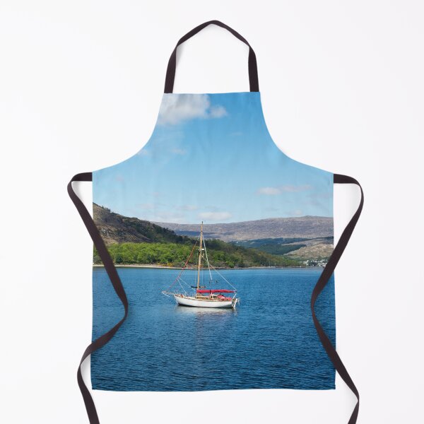 Boat on Loch Linnhe Apron