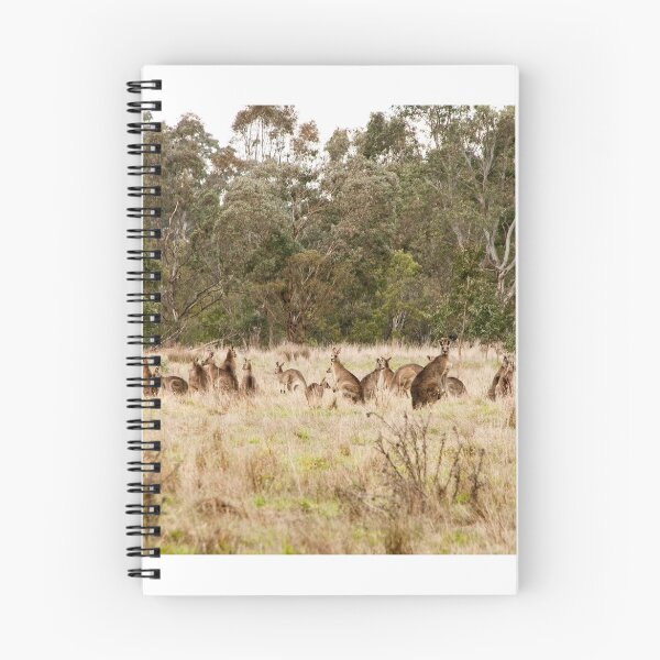 Aperçu de l'œuvre Troop of Kangaroos créée et vendue par Rob Chiarolli.