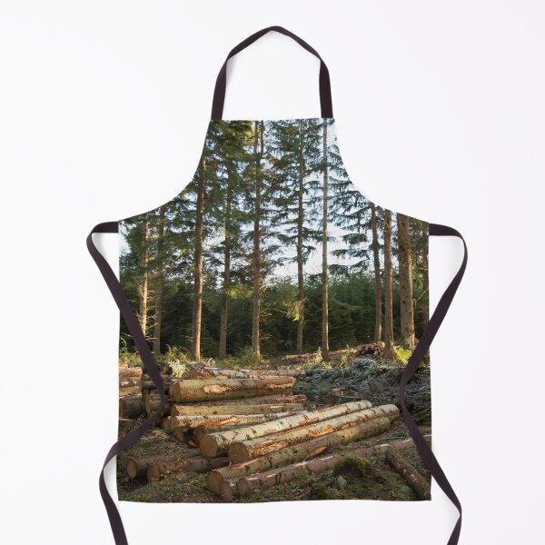 Item preview, Winter sunlight in the woodland designed and sold by Alternative Perspectives.