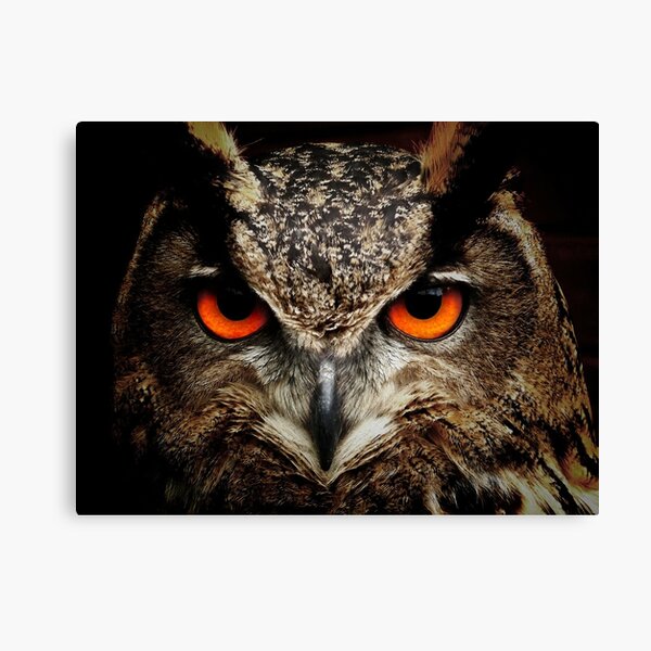 Sexy Canvas Print