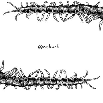 Artwork thumbnail, Two Centipede Ouroboros by oekart