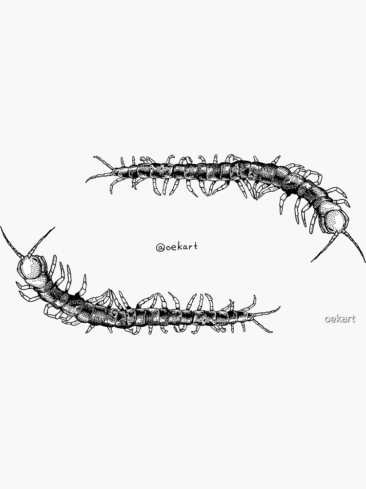Thumbnail 3 of 3, Sticker, Two Centipede Ouroboros designed and sold by oekart.