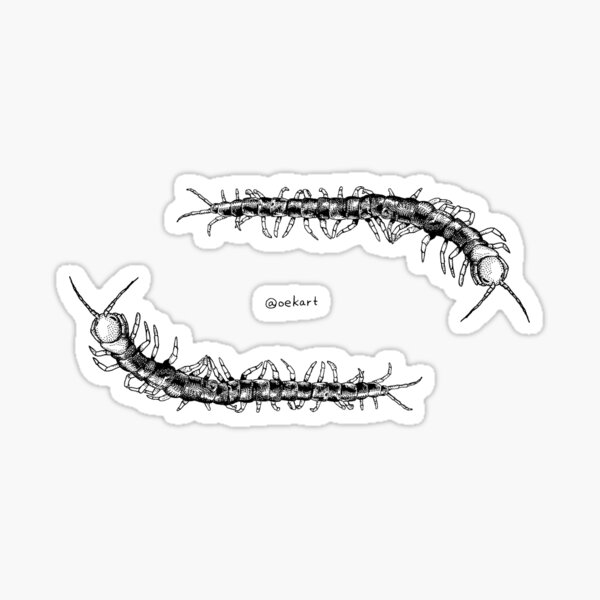 Two Centipede Ouroboros Sticker