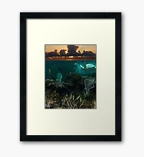 Under the sea... Framed Print