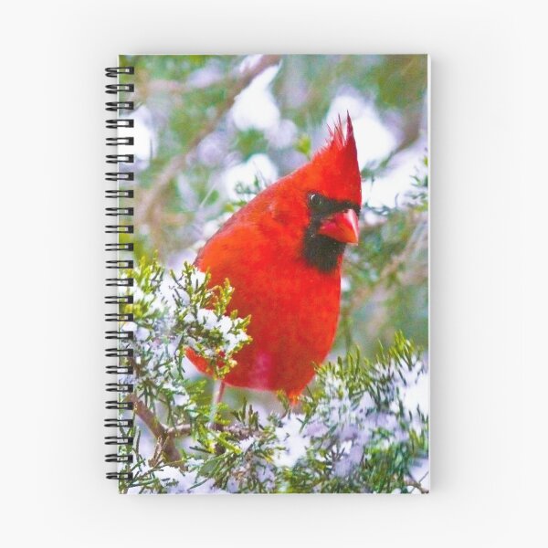 Item preview, Cardinal in Snowy Evergreen Tree designed and sold by ginawaltersdorf.