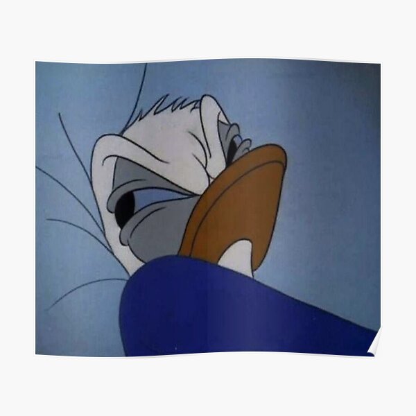 Grumpy donald duck Poster