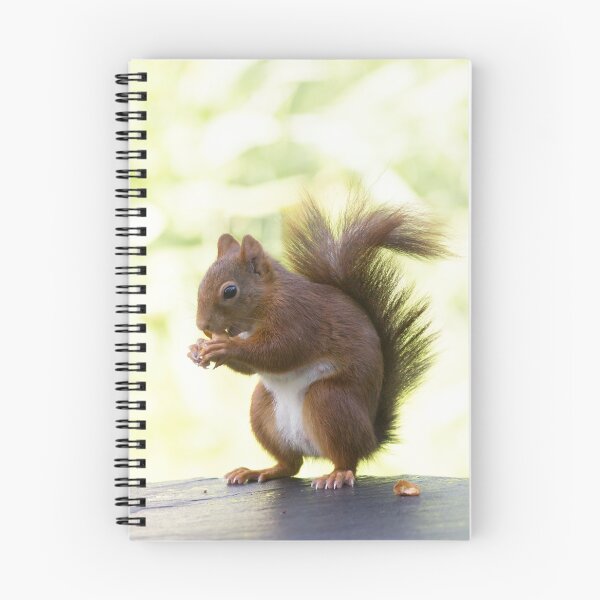 Item preview, Red squirrel designed and sold by VBMatossy.