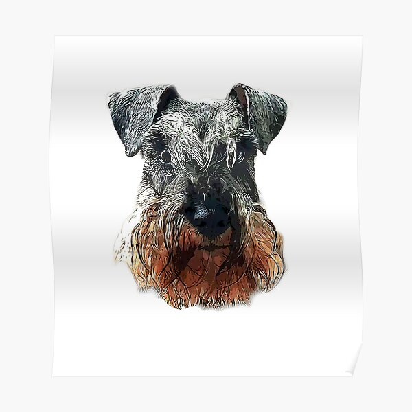 Mini Schnauzer Cute Salt and Pepper Face Poster