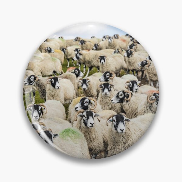 Item preview, Sheep designed and sold by MJ-Piccys.