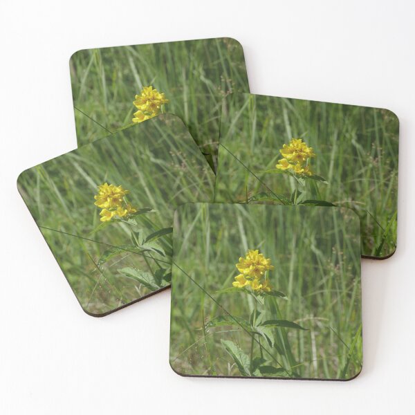 Item preview, yellow hypericum flowers in nature designed and sold by mrivserg.