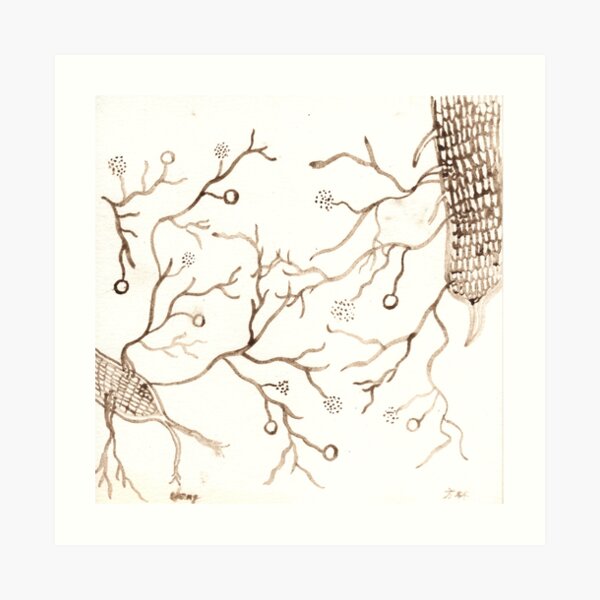 Arbuscular Mycorrhizal Fungi Art Print