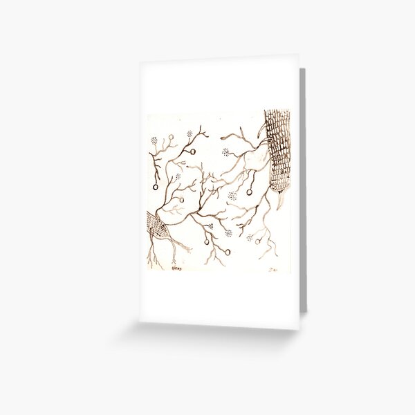 Arbuscular Mycorrhizal Fungi Greeting Card