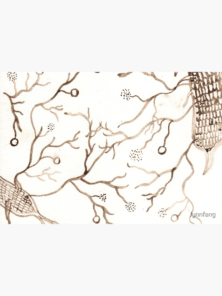 Arbuscular Mycorrhizal Fungi by lynnfang