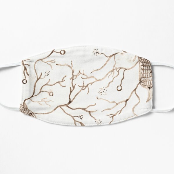 Arbuscular Mycorrhizal Fungi Mask