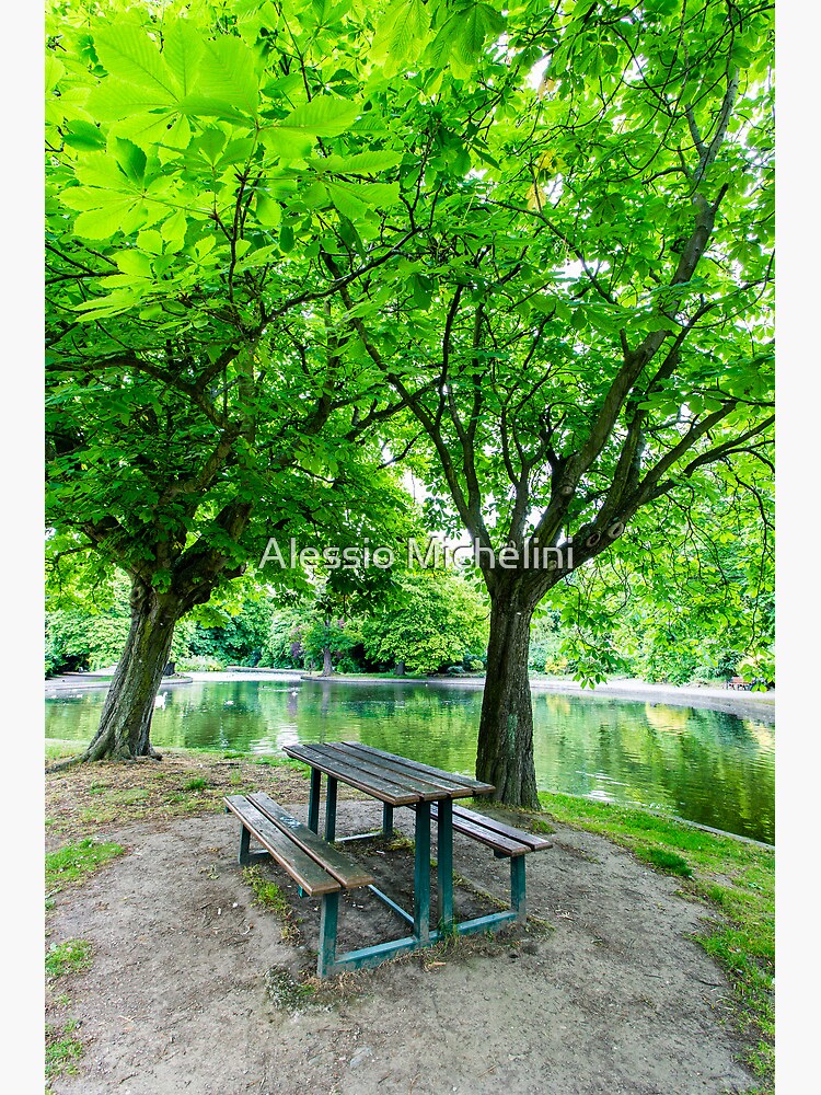 "Herbert Park, Dublin, Ireland" Poster for Sale by darkmavis Redbubble