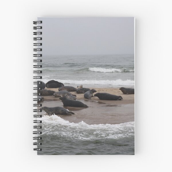 Item preview, Seals on Monomoy Island designed and sold by MarkBethoney.