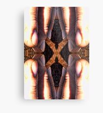 Asparagus Metal Print