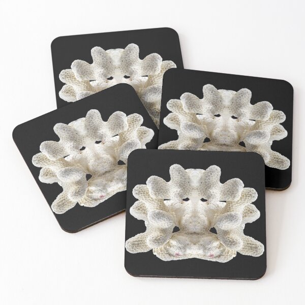Item preview, White perfectly symmetrical coral fossil isolated on black background designed and sold by Grégory DUBUS.