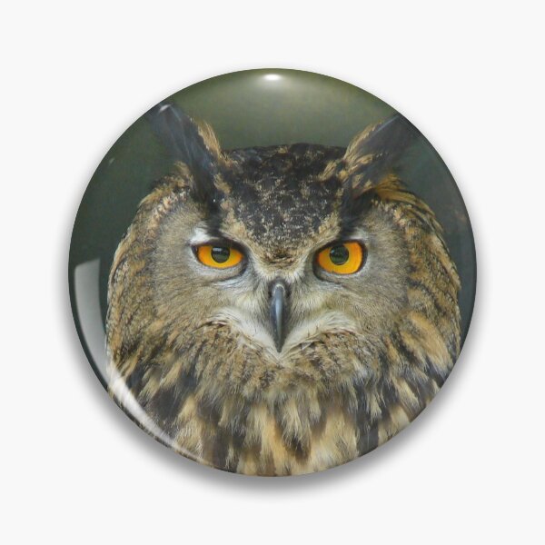 Item preview, European Eagle Owl designed and sold by Chris Petty.